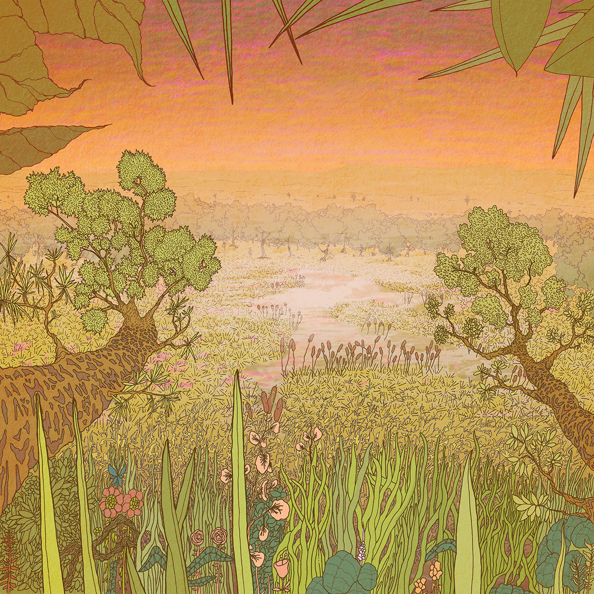 Mirage on the Meadow by Pine Barons